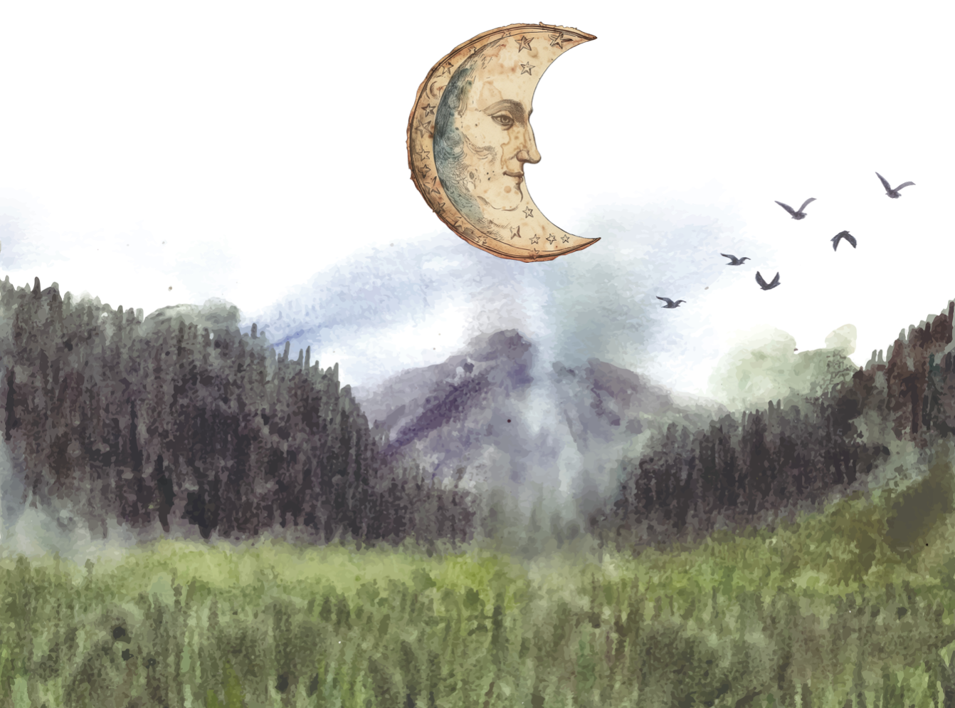 2026 new moons
