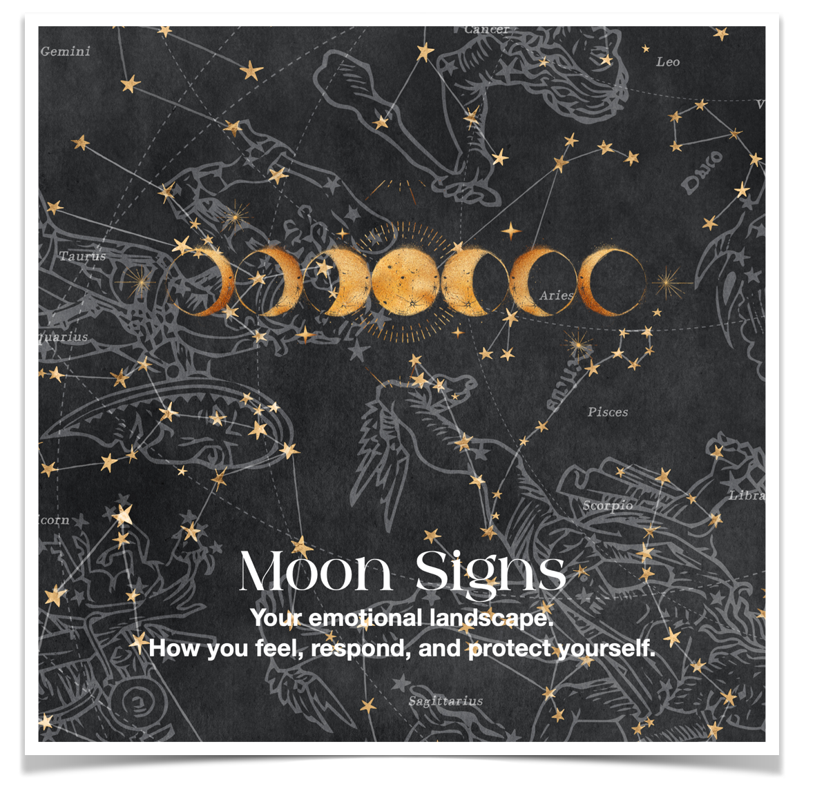 Decorative poster with astrological signs and moon phases on a dark background.
