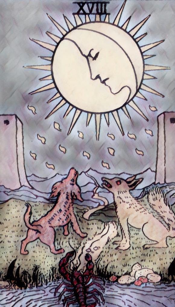 tarot card meaning, the moon