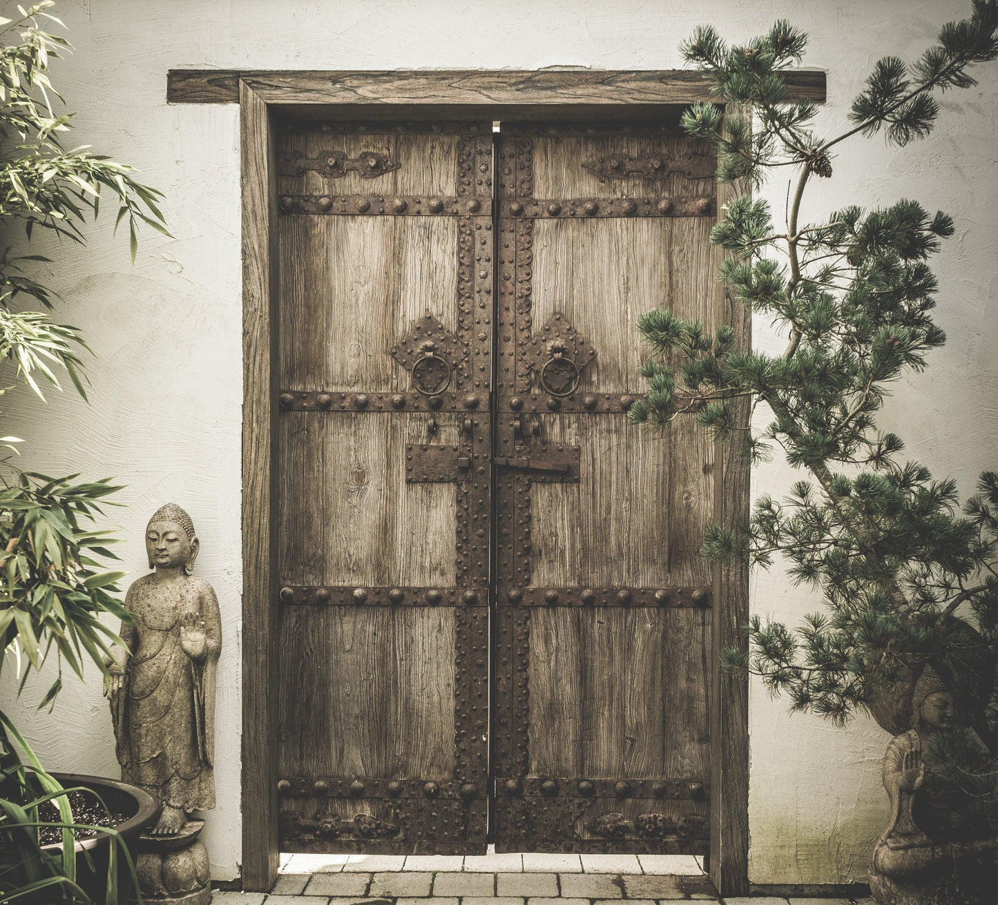 Tarot Masterguide, tarot lessons, tarot classes, learn tarot