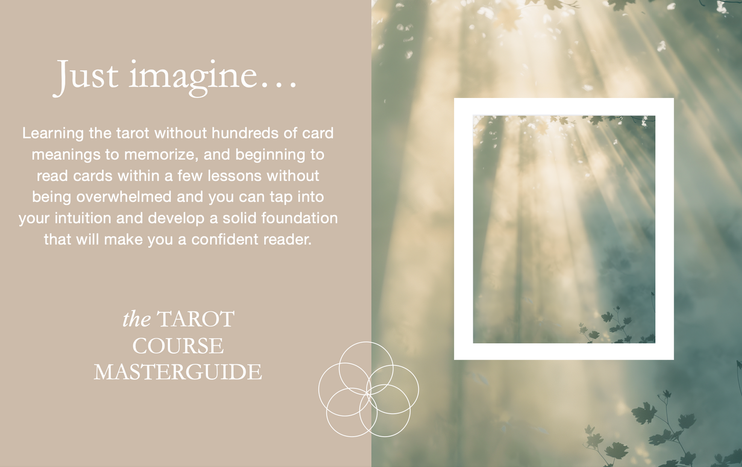 learn how to read tarot fast, tarot course online, learn tarot fast, tarot school, tarot masterguide, tarot cards, tarot card meanings